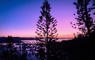 Purple dawn on the yacht harbor
