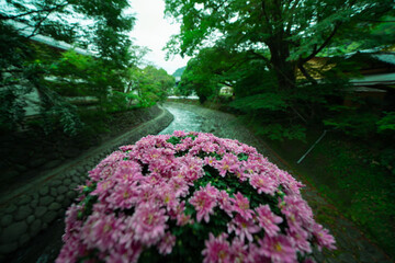 伊豆の旅行での風景