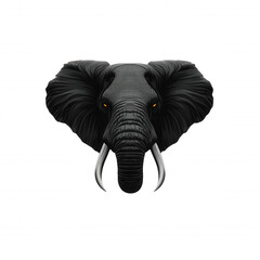 Powerful black and white image of an elephant with intense eyes and prominent tusks