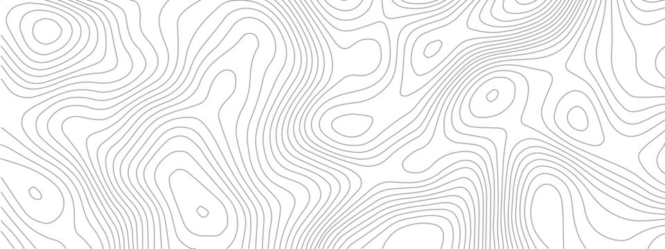 Abstract pattern with lines seamless pattern and topography.  sea map and mounted map area space geometrics line technology topo landscape grid map discovery area. Modern design white background.