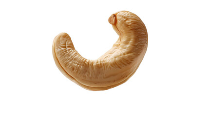 A cashew levitating on white background, commercial photography,  transparent background, png file, Generative AI illustrations.