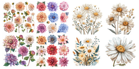 A collection of flower images, including daisies, dahlias, and roses. The images are colorful and vibrant, with a mix of different shades and hues. The overall mood of the images is cheerful