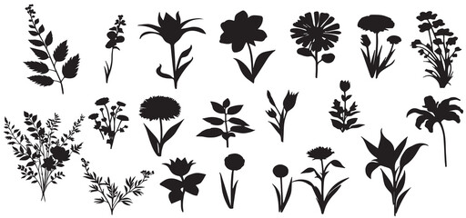 Hand drawn flower set silhouettes 