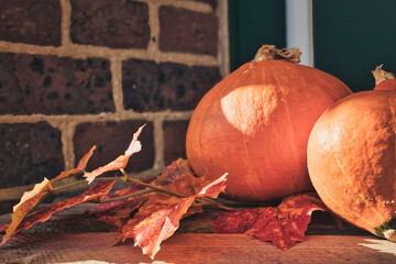 Pumpkin and Leaves - Autumn - Thanksgiving - Harvest - Background - Orange - Season - Halloween
