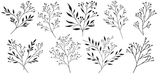 Black and white botanical set leaves