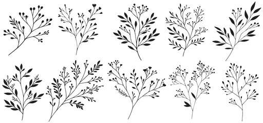 Big set of hand drawn floral vector with leaves and branches, Floral sketch