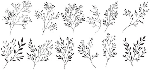 Herbs and flowers set of vector elements. Hand-drawn plants. Collection of botanical sketches. Field medicinal plants with leaves, berries.  Silhouette of the grass vector