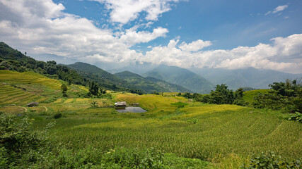Fototapeta premium Landscape with green and yellow rice terraced fields and cloudy sky in North Vietnam