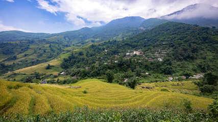 Obraz premium Landscape with green and yellow rice terraced fields and cloudy sky in North Vietnam