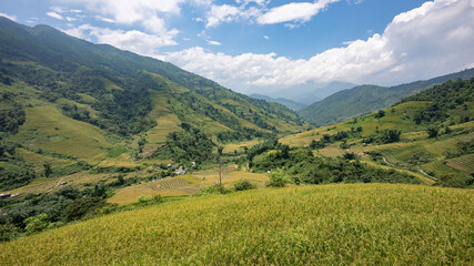 Fototapeta premium Landscape with green and yellow rice terraced fields and cloudy sky in North Vietnam