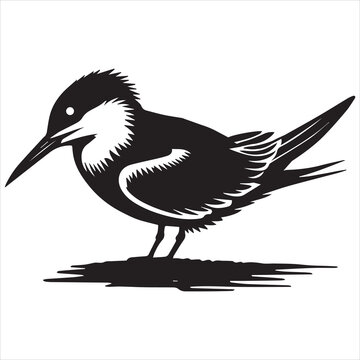 recommend clip art: Royal Tern Silhouette, Thalasseus maximus Clipart, Royal Tern flying Illustration in black and white