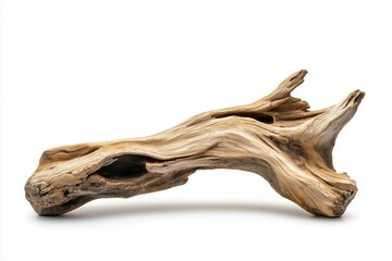Piece of driftwood isolated on white background