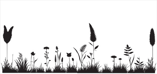 Silhouette glade with flowers, plants, grass, vector © shahzad