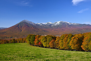 Fototapeta premium 石倉山 紅葉 秋 青森県 日本/Ishikurayama Autumn leaves Aomori Prefecture Japan
