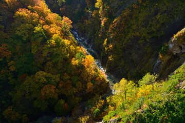 Autumn leaves Jogakura Bridge Aomori Prefecture Japan/紅葉　城ヶ倉大橋　青森県　日本