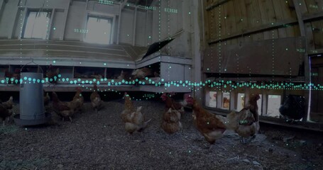 Chickens in coop with data processing animation overlaying their movements - Powered by Adobe