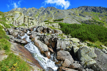 Mountain creek in the Mlynicka Valley, Vysoke Tatry (Tatra Mountains), Slovakia. © vencav