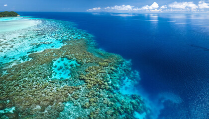 Fototapeta premium An aerial view of a coral reef in clear blue ocean waters