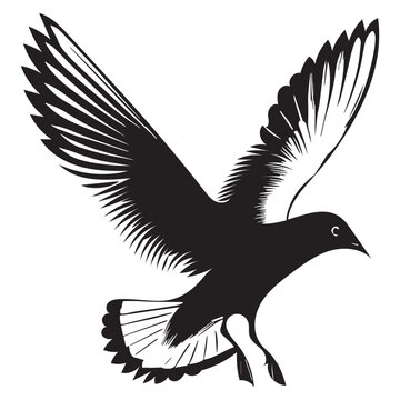 recommend clip art: Black-headed Gull  Silhouette, Chroicocephalus ridibundus Clipart, Black-headed gull landing Illustration in black and white