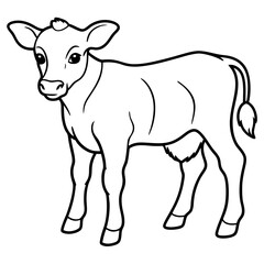 Baby beef calf art vector illustration