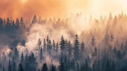 Tableau sur plexiglas Forêt brumeuse During wildfires, smoke can spread across vast areas, impacting air quality and visibility  © wicha