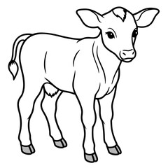 Baby beef calf art vector illustration