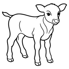 Baby beef calf art vector illustration