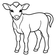 Baby beef calf art vector illustration