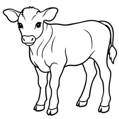 Baby beef calf art vector illustration