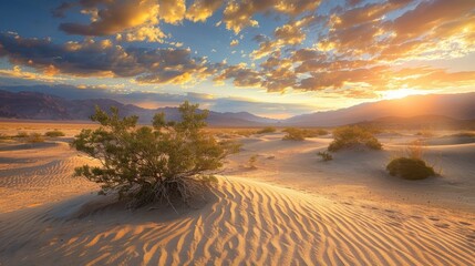 Earth's deserts: Unique ecosystems and their adaptations