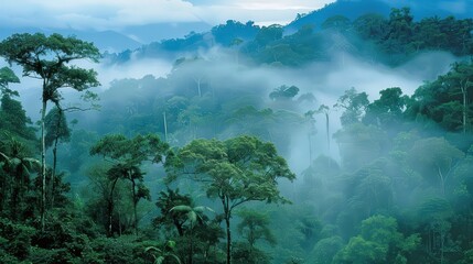 Earth's rainforests: Biodiversity hotspots and conservation challenges