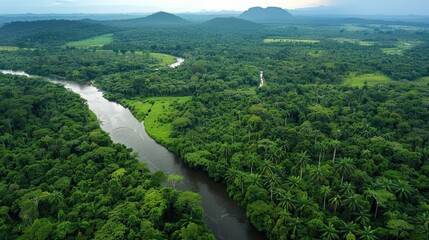 Earth's rainforests: Biodiversity hotspots and conservation challenges