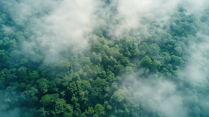 Obraz premium Enjoy the peaceful sight of aerial clouds drifting over a forest.