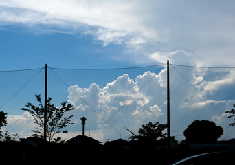 バックネットの向こうの入道雲