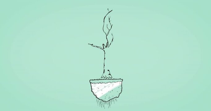Tree with bare branches and floating soil animation on green background