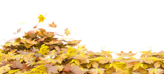 autumn leaves fallen in pile isolated for background - 3d rendering