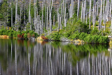 Smreczyński Staw – polodowcowe jezioro morenowe, Tatry Zachodnie, Tatrzański Park Narodowy, Kościelisko, Małopolska, Polska, Europa, © Albin Marciniak