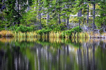 Smreczyński Staw – polodowcowe jezioro morenowe, Tatry Zachodnie, Tatrzański Park Narodowy, Kościelisko, Małopolska, Polska, Europa, © Albin Marciniak