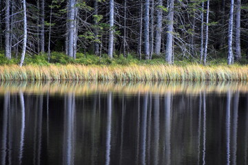 Smreczyński Staw – polodowcowe jezioro morenowe, Tatry Zachodnie, Tatrzański Park Narodowy, Kościelisko, Małopolska, Polska, Europa, © Albin Marciniak