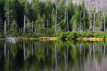 Smreczyński Staw – polodowcowe jezioro morenowe, Tatry Zachodnie, Tatrzański Park Narodowy, Kościelisko, Małopolska, Polska, Europa, © Albin Marciniak