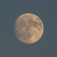 Waxing Gibbous Moon at 92% Illumination on August 17, 2024 over the Bay Area, California at 8:08PM.