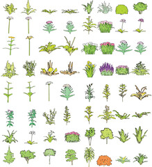 Colorful Side View of Plants and Flowers on White Background - Vector EPS - 01