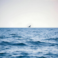 Naklejka premium Bird on the ocean