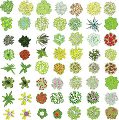 Top View of Colorful Plants and Flowers on White Background - Vector EPS  -  03