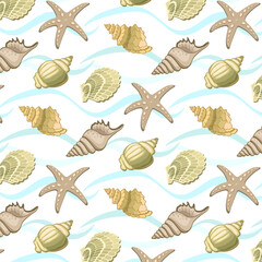 Seashells in a vector pattern.Vector pattern with sea shells and clams on a transparent background.