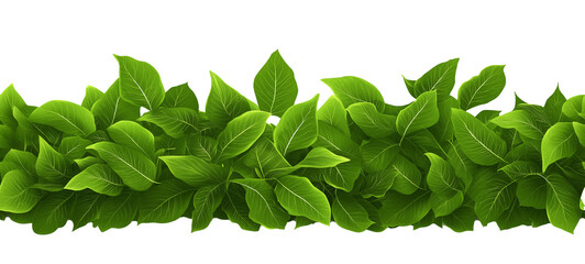 Seamless Horizontal Mint Leaves boarder isolated on transparent background
