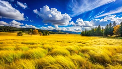 Fototapeta premium A Lush Meadow Covered In Vibrant Yellow Grass, Swaying Gently In The Breeze Under A Bright Blue Sky.