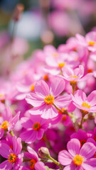 Obraz premium Soft Pink Flowers in Bloom