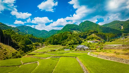 Fototapeten Reisfelder 日本の綺麗な棚田  © TAKA