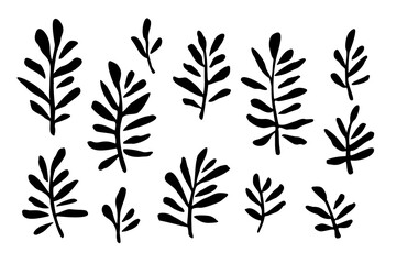 Vector set of palm leaves, silhouette. Hand drawn tropical element isolated on white background.